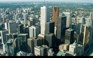 Tapeta toronto_1