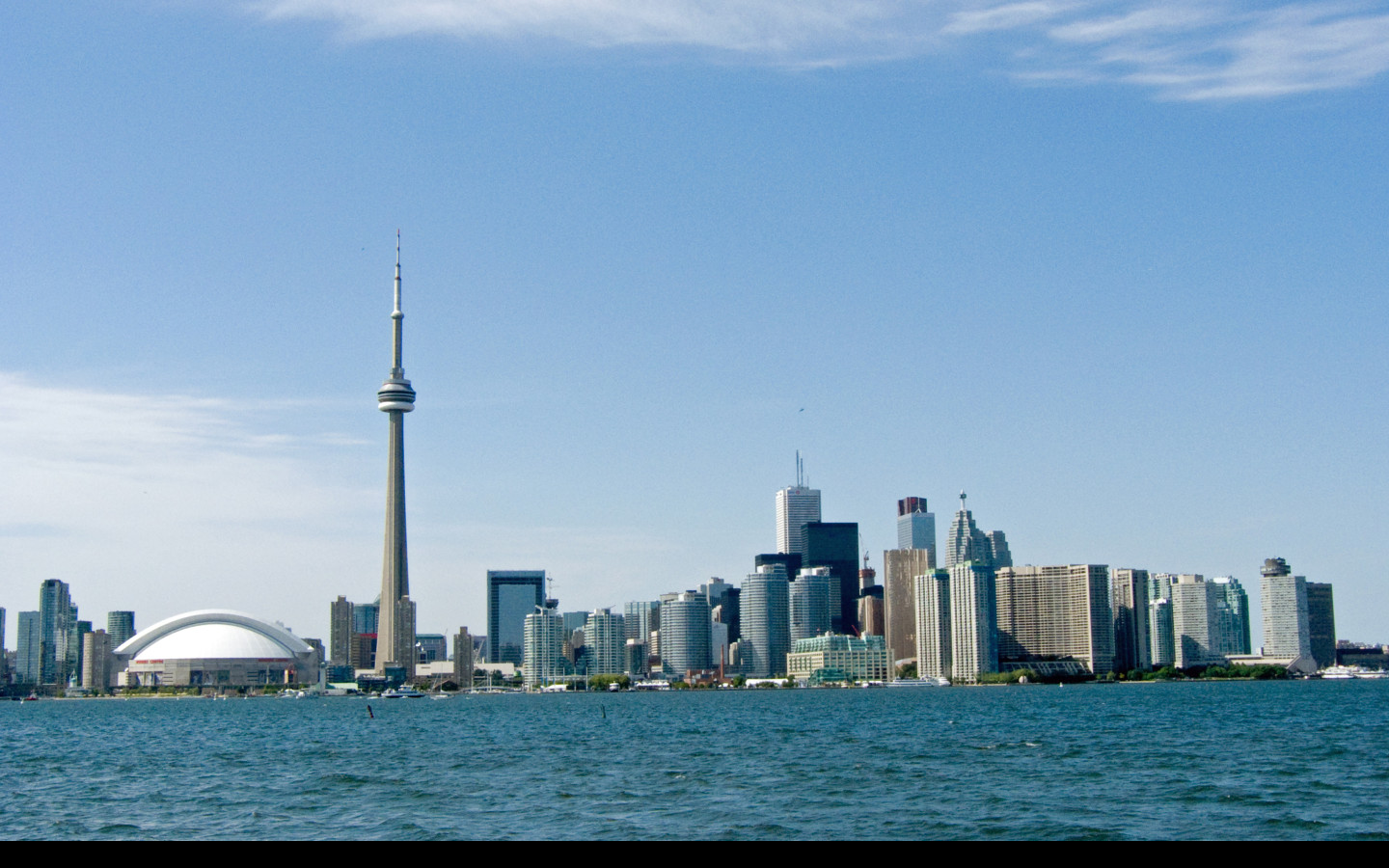 Tapeta toronto_3