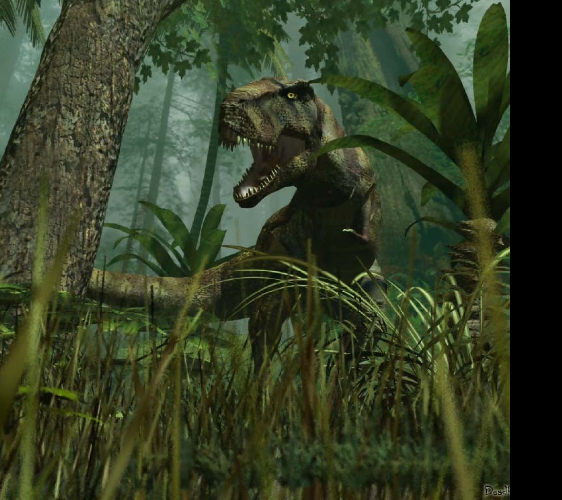 Tapeta trex