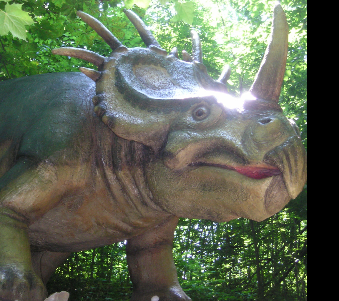 Tapeta triceratops