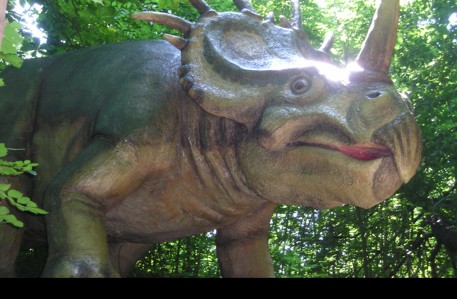 Tapeta triceratops