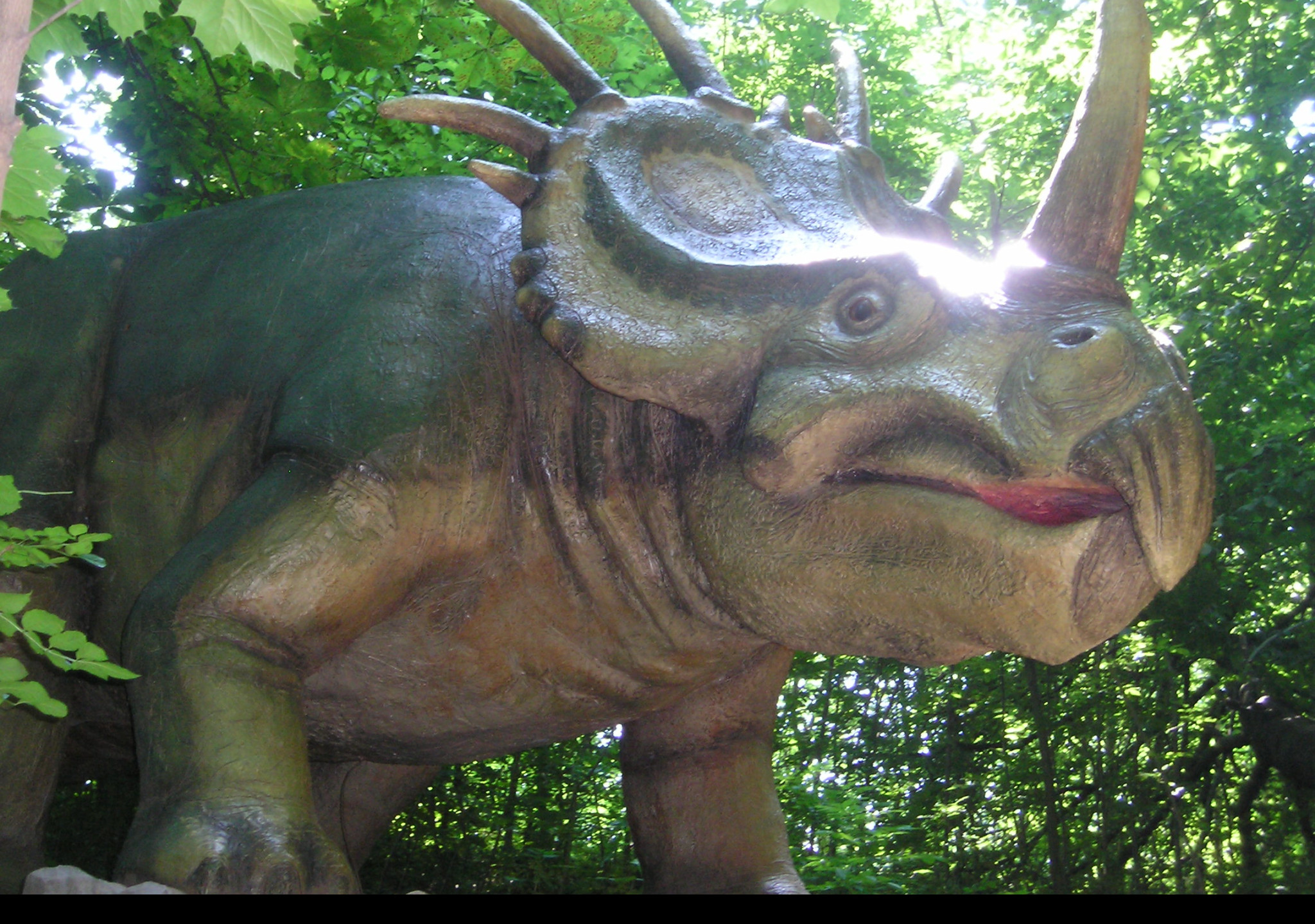 Tapeta triceratops
