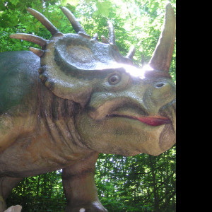 Tapeta triceratops