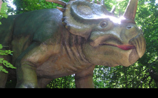 Tapeta triceratops