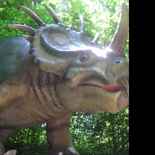 Tapeta triceratops