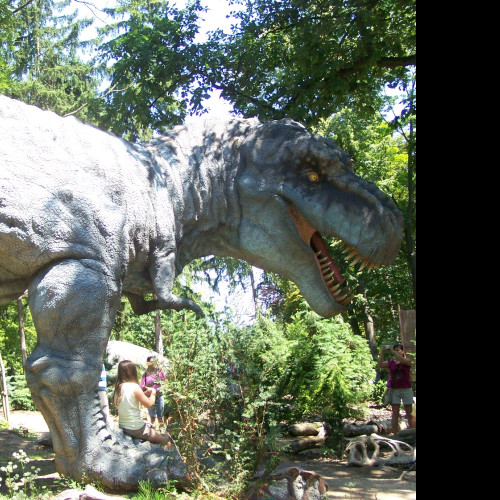 Tapeta tyrannosaurus_rex