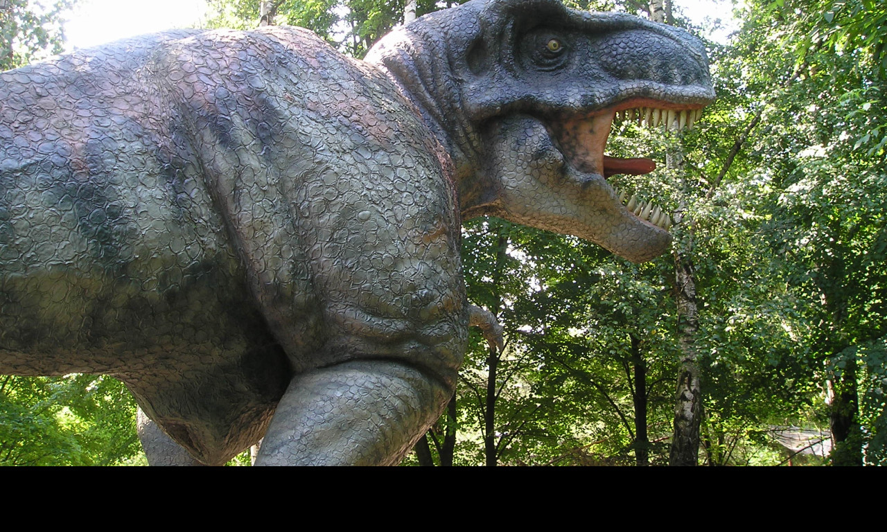 Tapeta tyranosurus_rex