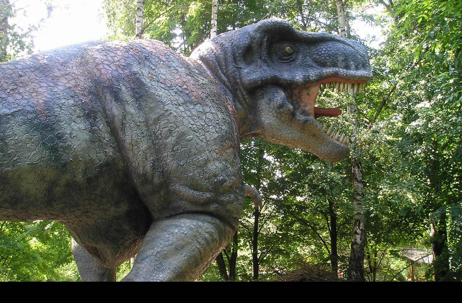 Tapeta tyranosurus_rex