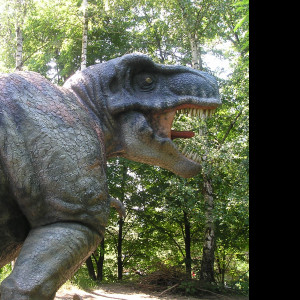 Tapeta tyranosurus_rex