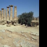 Tapeta udoli_palacu_agrigento_1