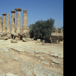 Tapeta udoli_palacu_agrigento_1