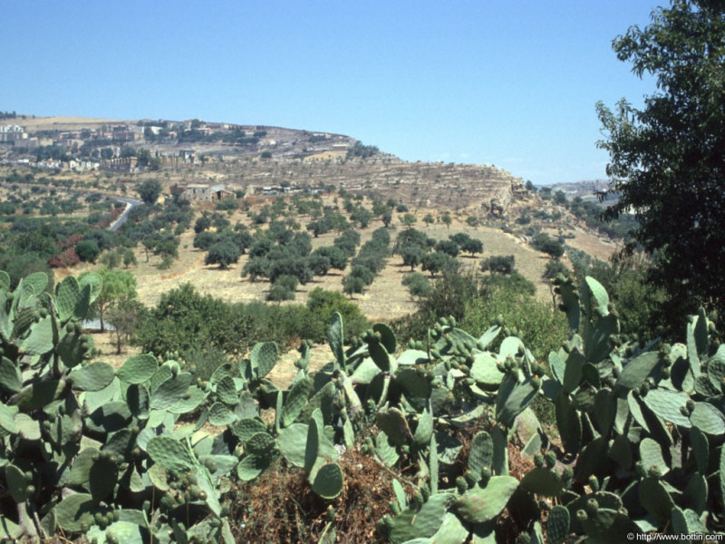 Tapeta udoli_palacu_agrigento_4