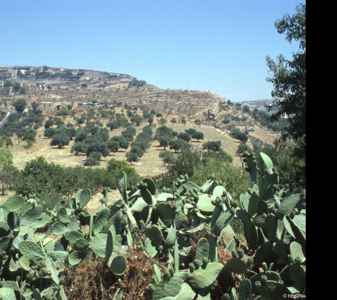 Tapeta udoli_palacu_agrigento_4