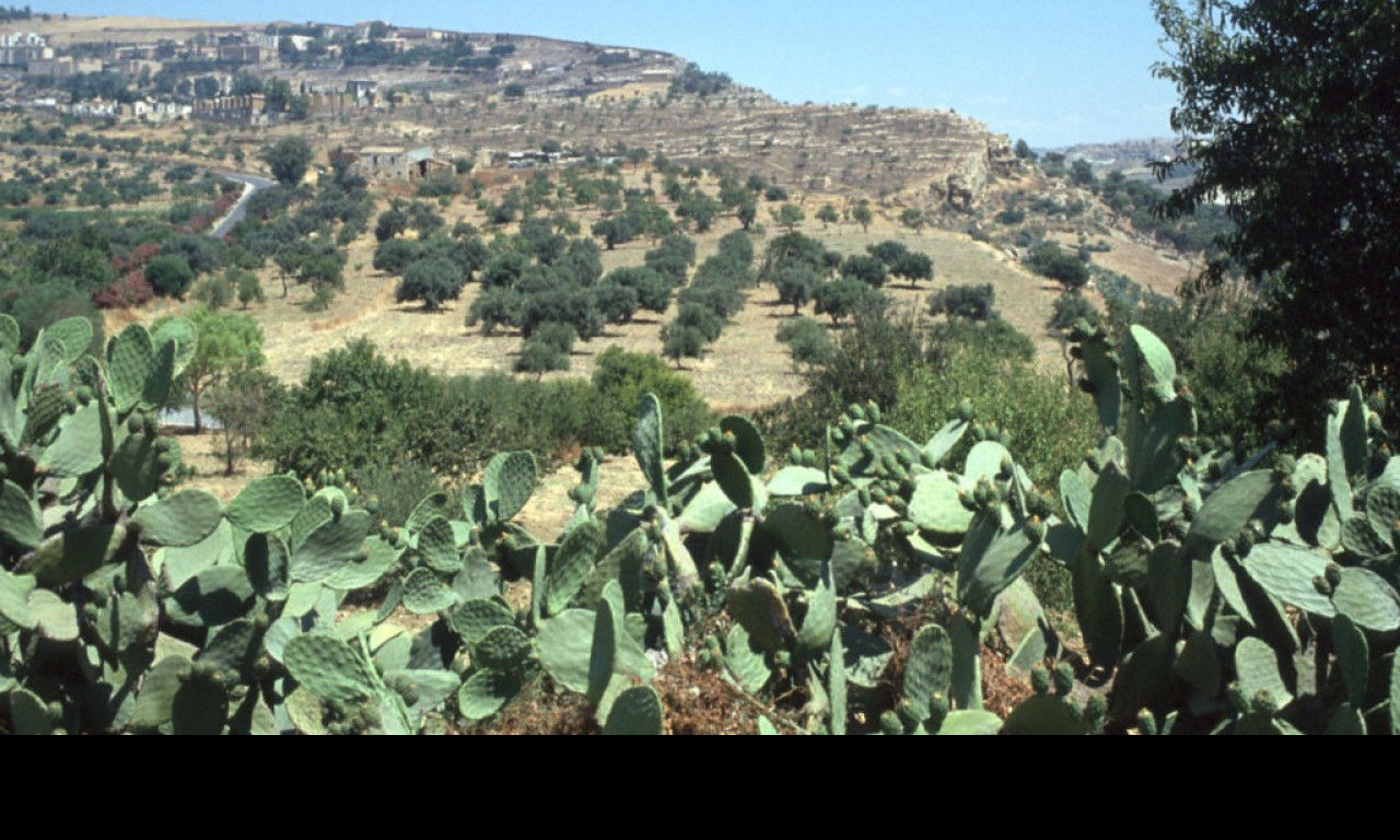 Tapeta udoli_palacu_agrigento_4