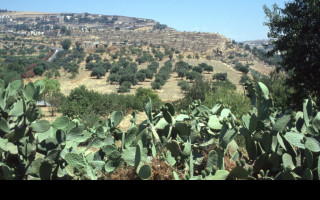 Tapeta udoli_palacu_agrigento_4