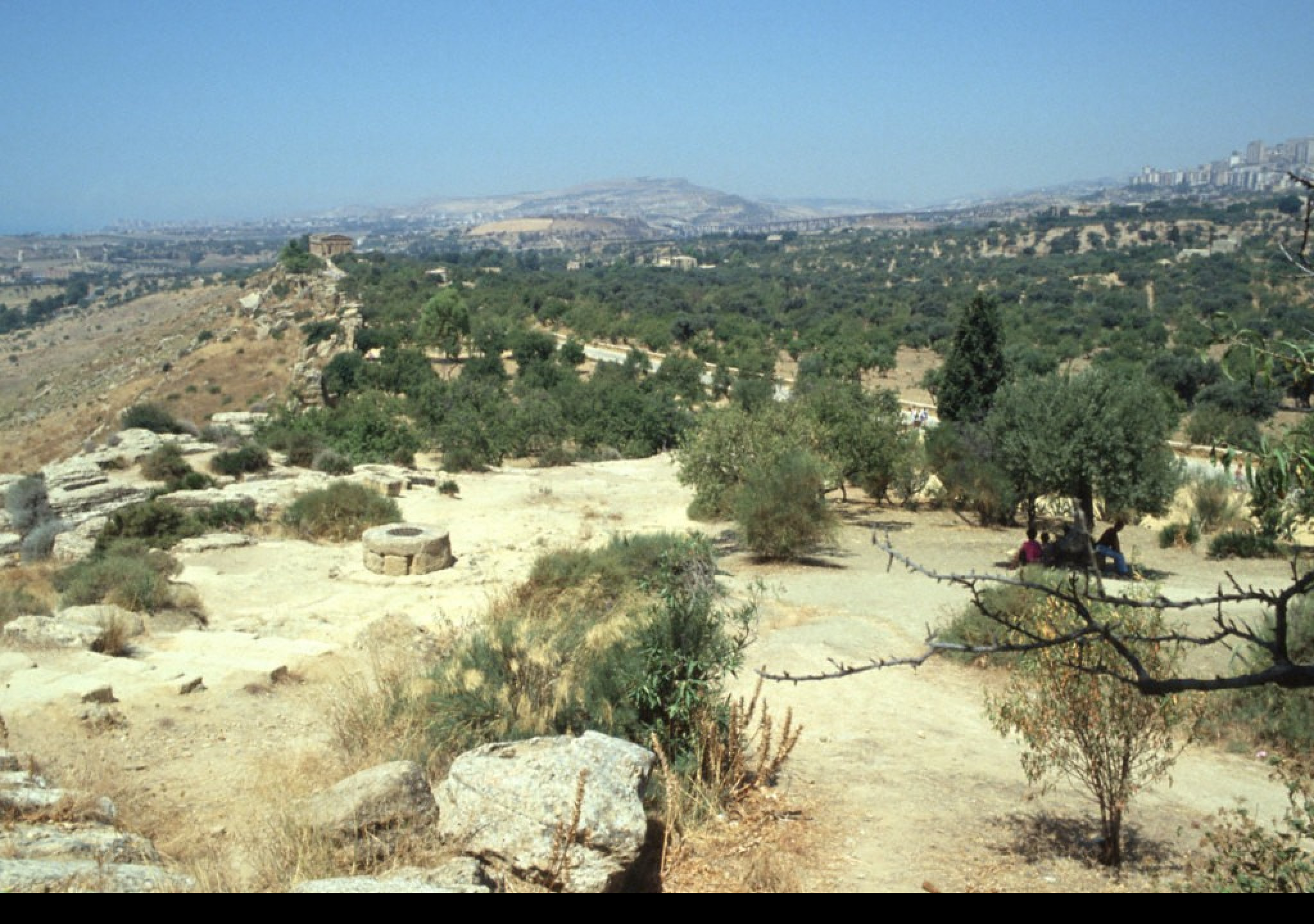 Tapeta udoli_palacu_agrigento_5
