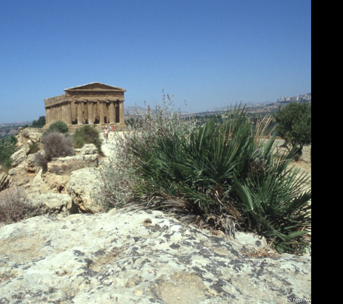 Tapeta udoli_palacu_agrigento_6