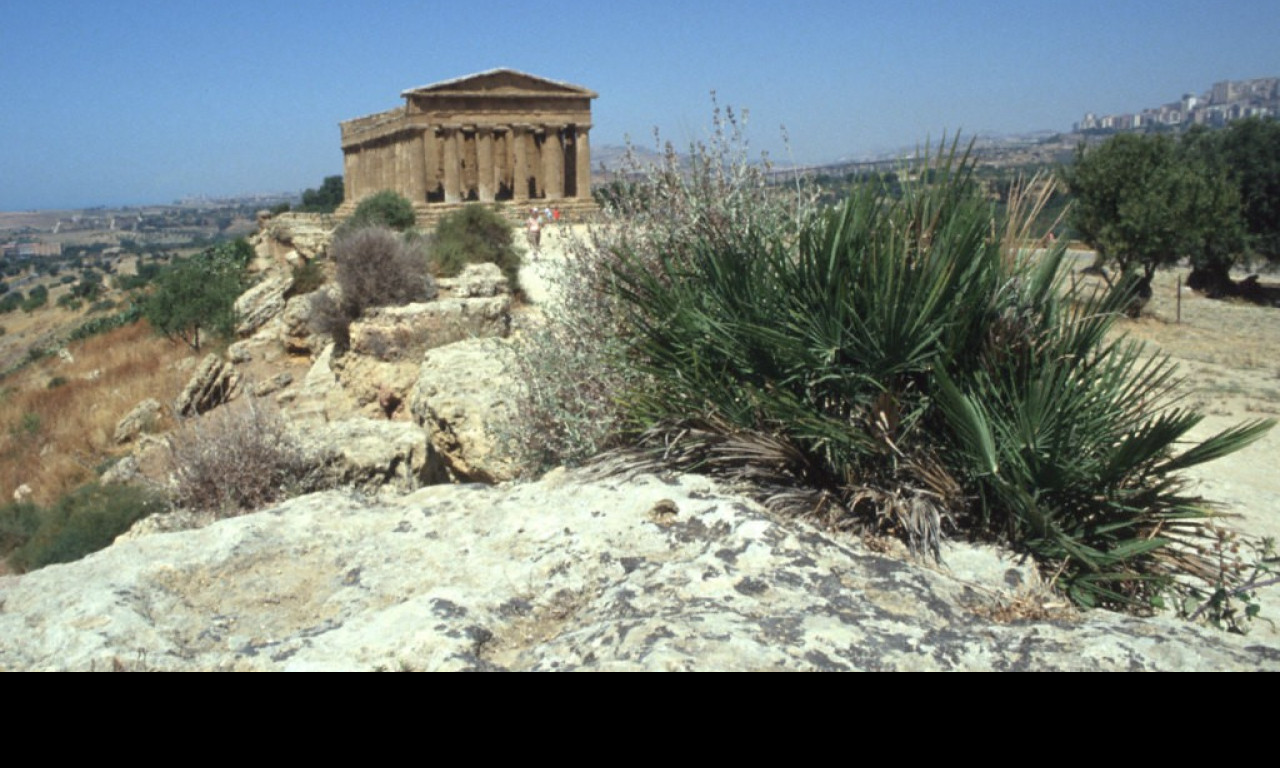 Tapeta udoli_palacu_agrigento_6