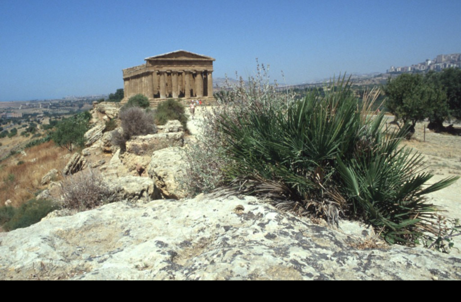 Tapeta udoli_palacu_agrigento_6