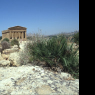 Tapeta udoli_palacu_agrigento_6