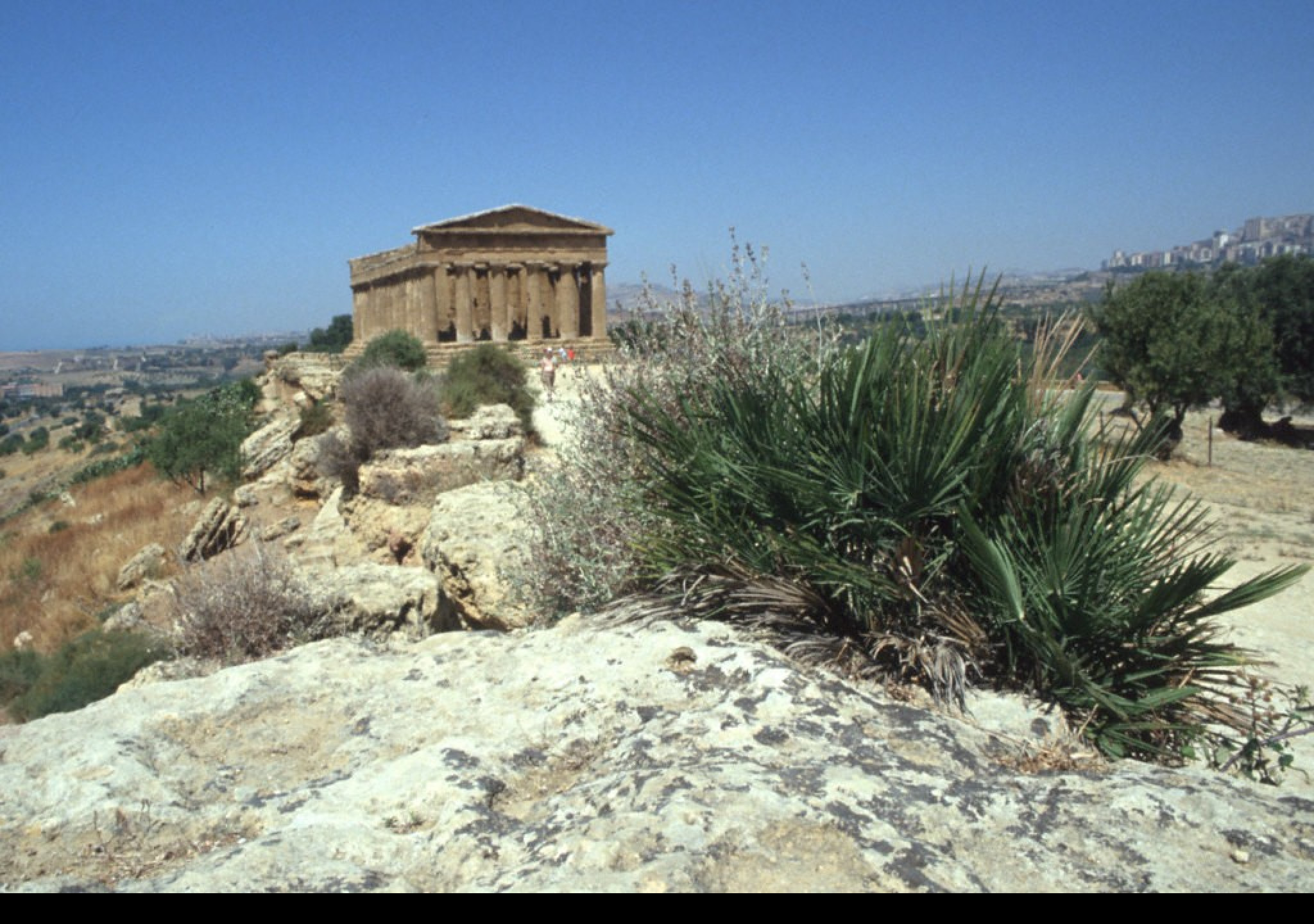 Tapeta udoli_palacu_agrigento_6