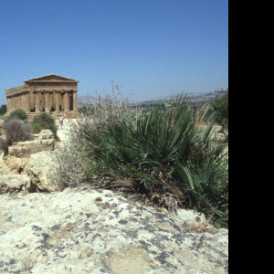 Tapeta udoli_palacu_agrigento_6