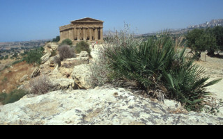 Tapeta udoli_palacu_agrigento_6