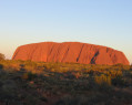 Tapeta Uluru