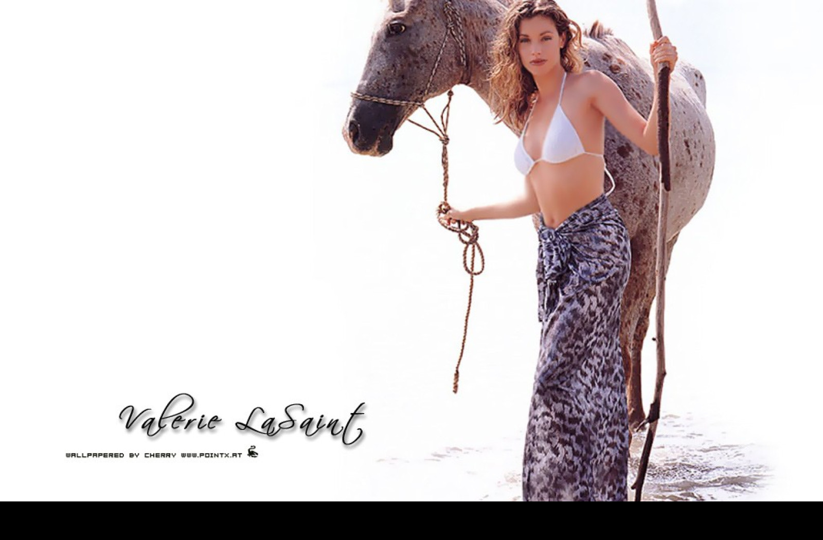 Tapeta valerielasaint