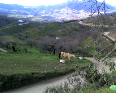 Tapeta: Valle de Guadalhorce