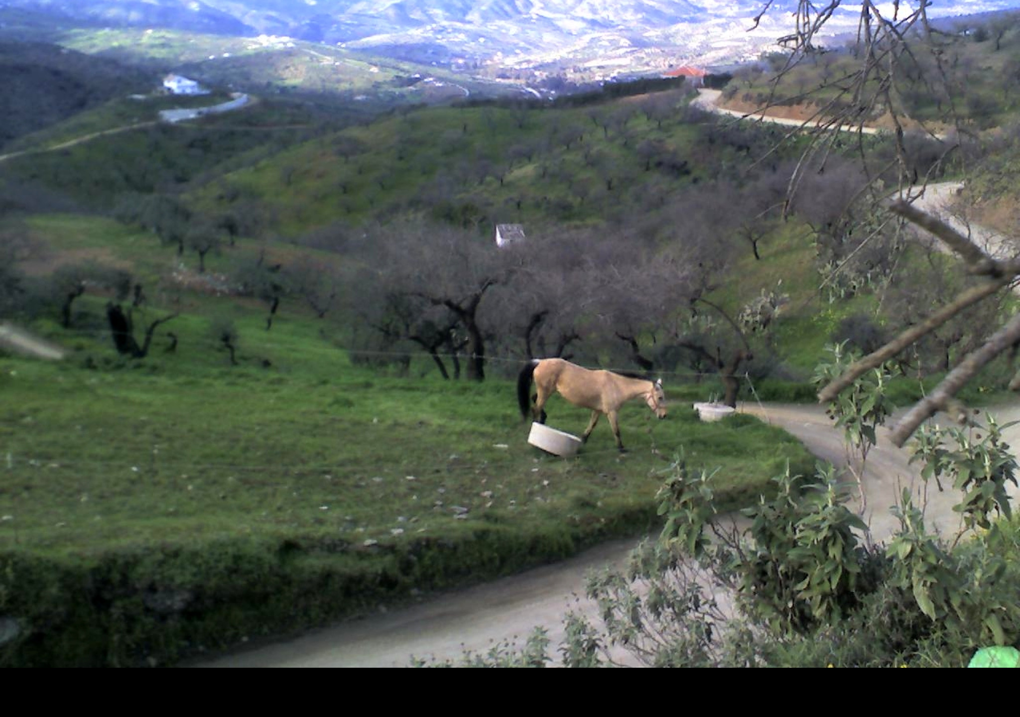 Tapeta valle_de_guadalhorce