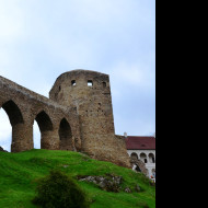 Tapeta velhartice_1