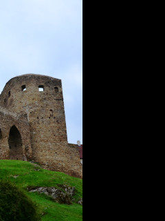 Tapeta velhartice_1