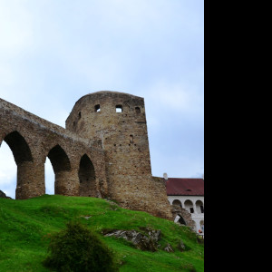 Tapeta velhartice_1