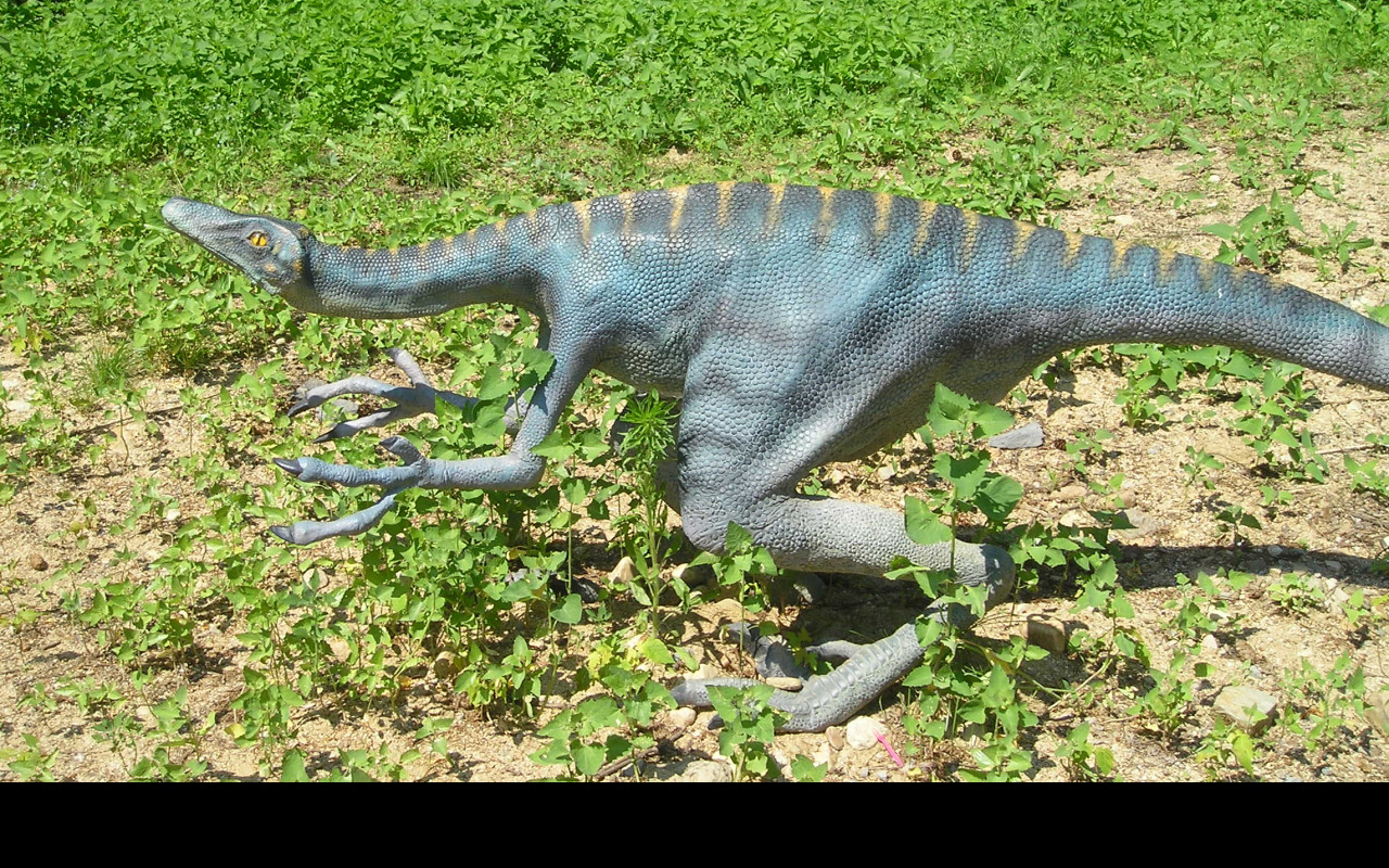 Tapeta velociraptor