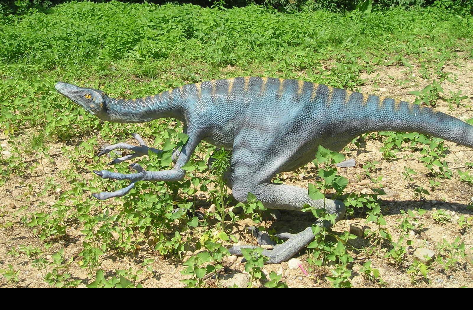 Tapeta velociraptor