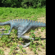 Tapeta velociraptor