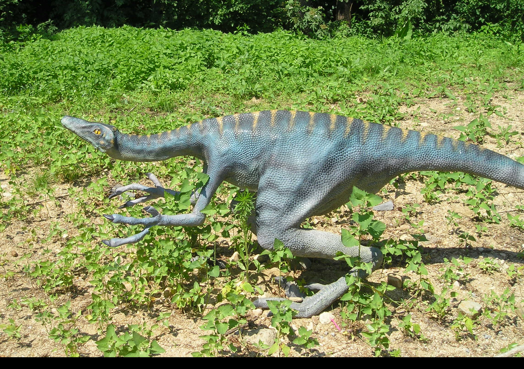 Tapeta velociraptor