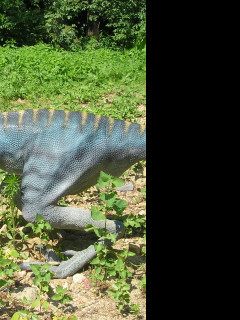 Tapeta velociraptor