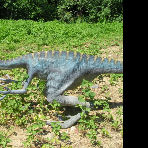 Tapeta velociraptor