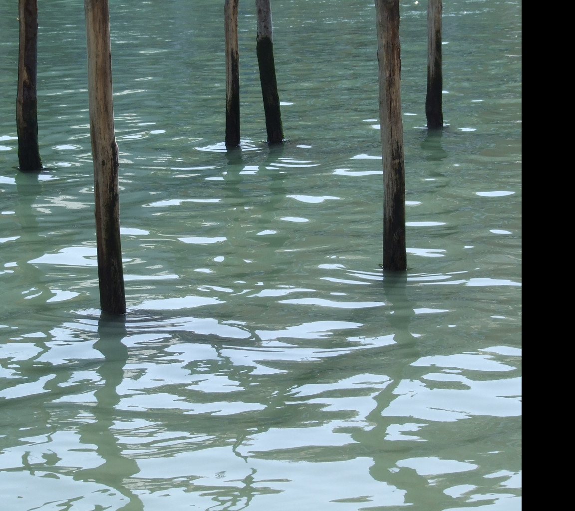 Tapeta venezia