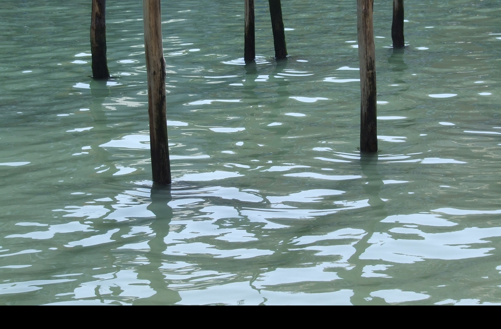 Tapeta venezia