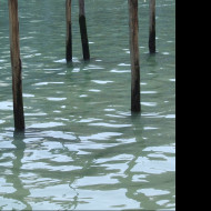 Tapeta venezia