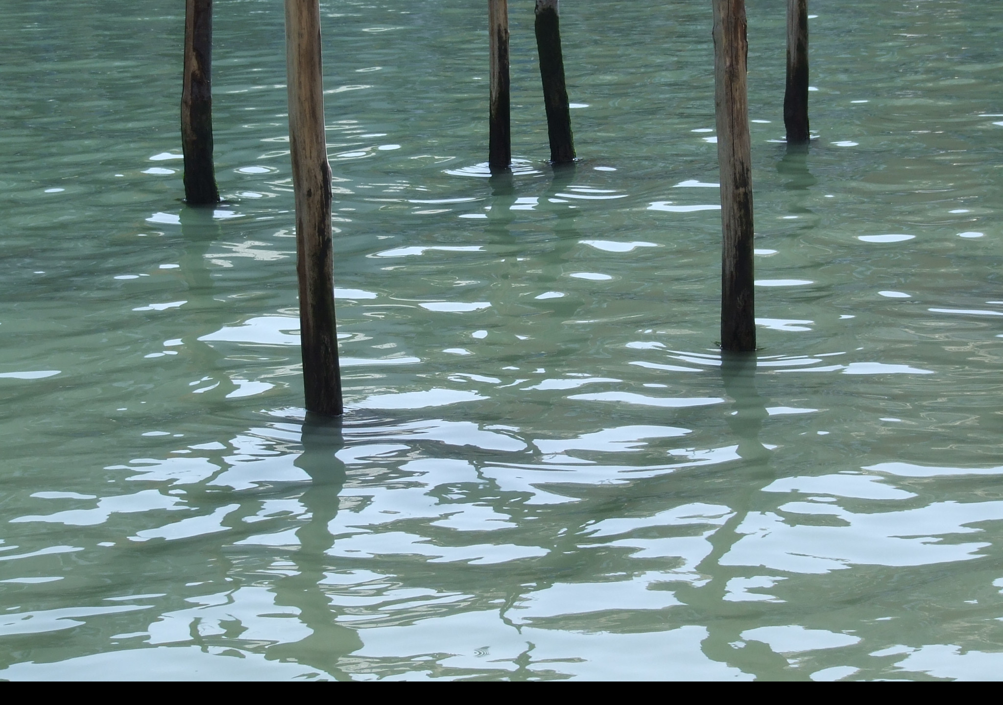 Tapeta venezia