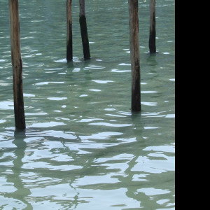 Tapeta venezia