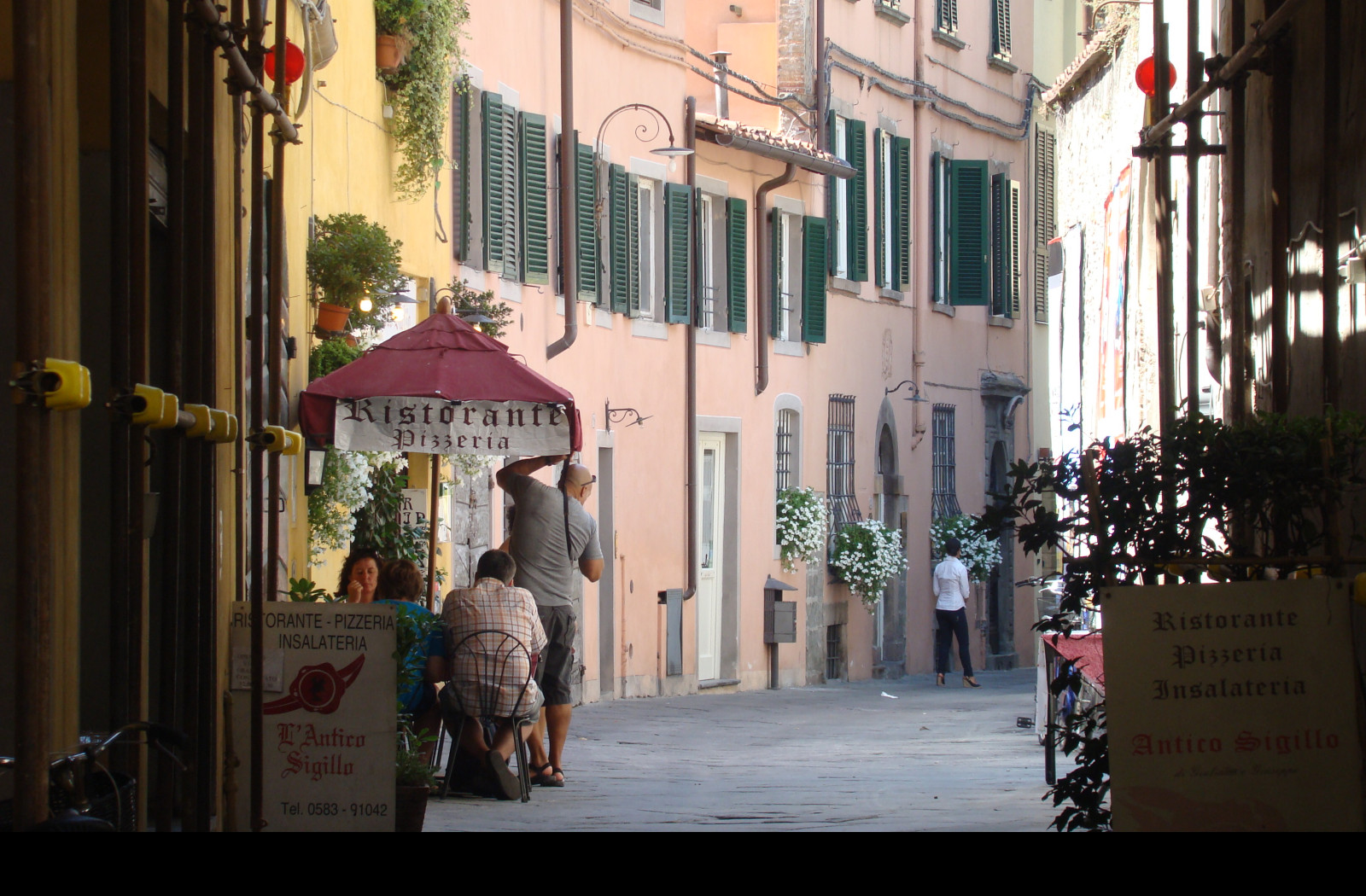 Tapeta verona