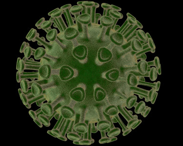 Tapeta: virus