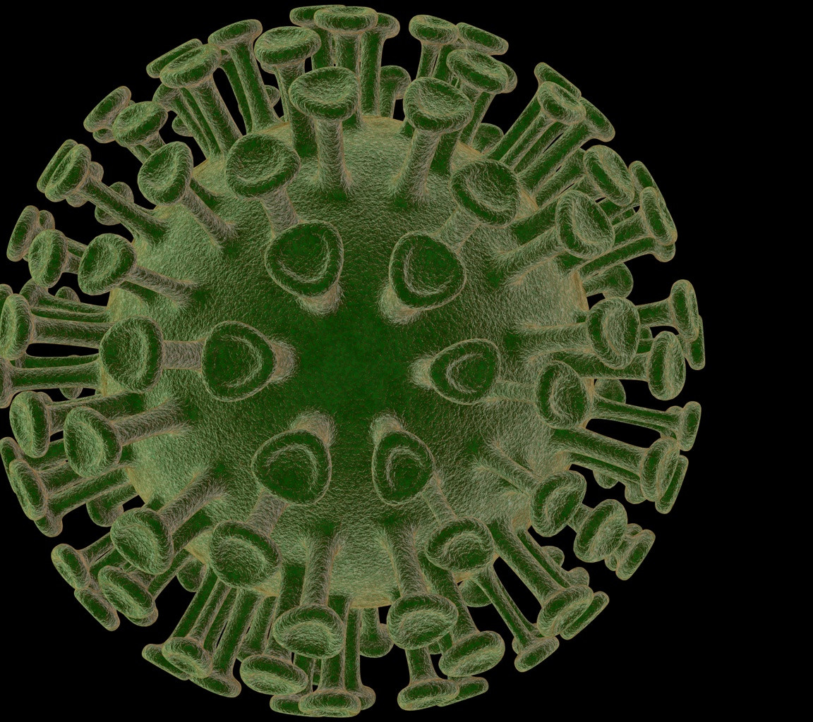 Tapeta virus