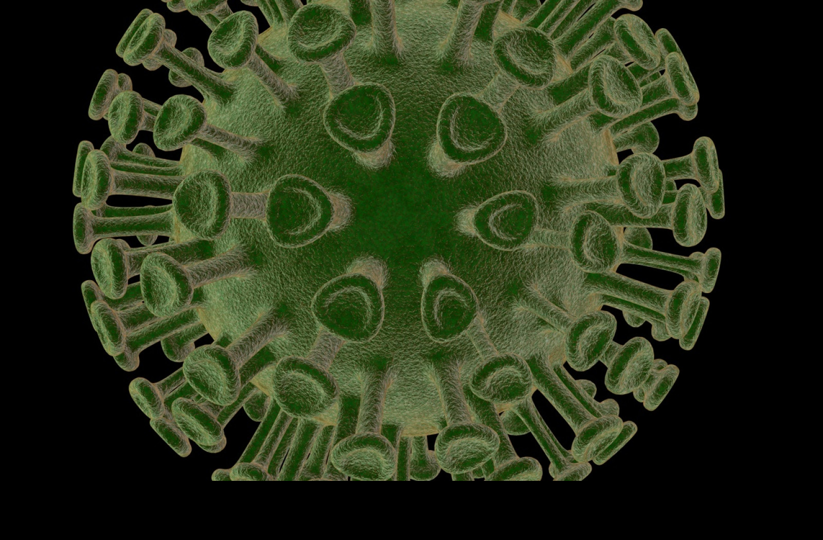 Tapeta virus