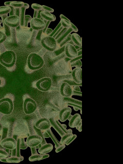 Tapeta virus